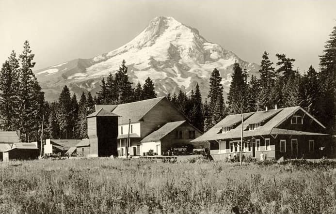 Historic Parkdale landscape